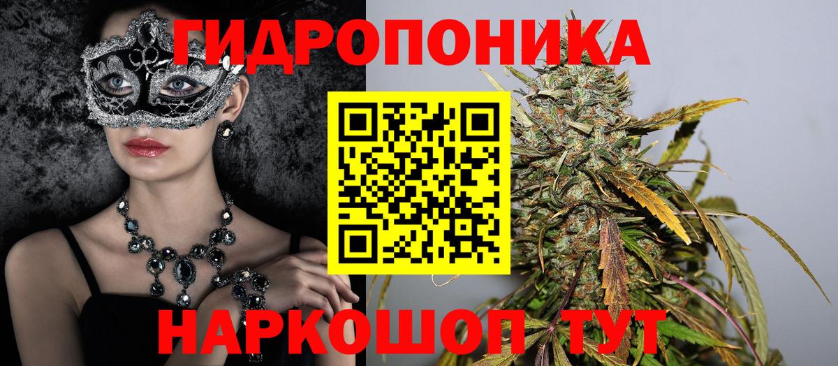 A PVP Майкоп